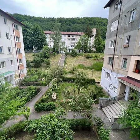 Apartment The Retreat